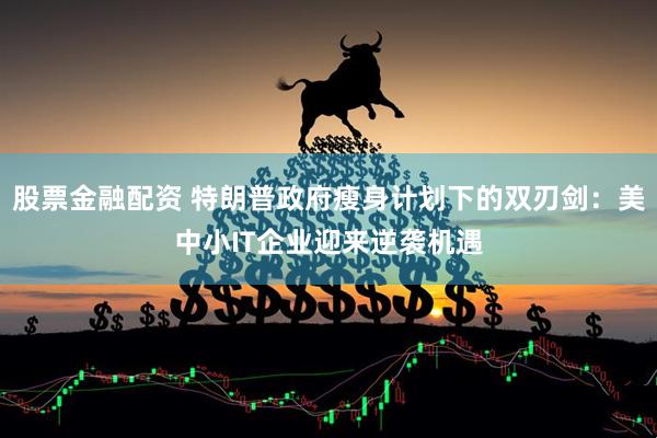 股票金融配资 特朗普政府瘦身计划下的双刃剑：美中小IT企业迎来逆袭机遇