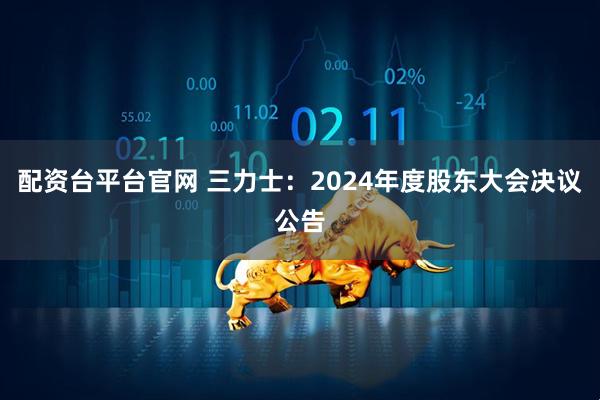 配资台平台官网 三力士：2024年度股东大会决议公告
