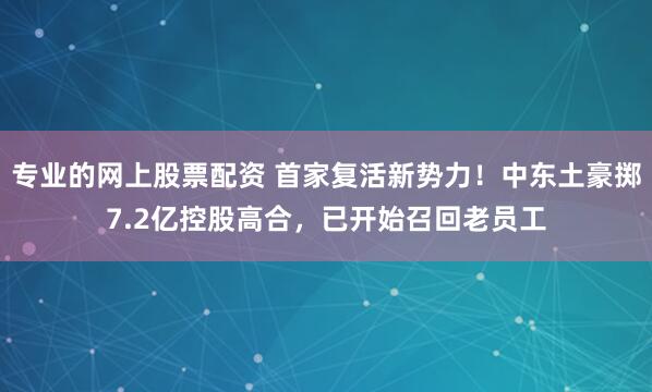 专业的网上股票配资 首家复活新势力！中东土豪掷7.2亿控股高合，已开始召回老员工